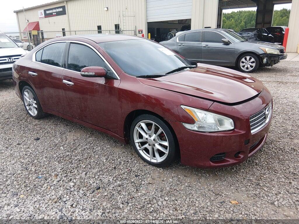 1N4AA5AP8AC863399 2010 NISSAN MAXIMA photo no. 1