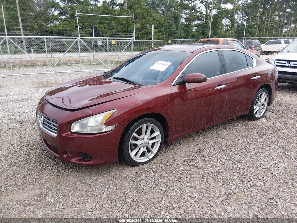 1N4AA5AP8AC863399 2010 NISSAN MAXIMA photo no. 2