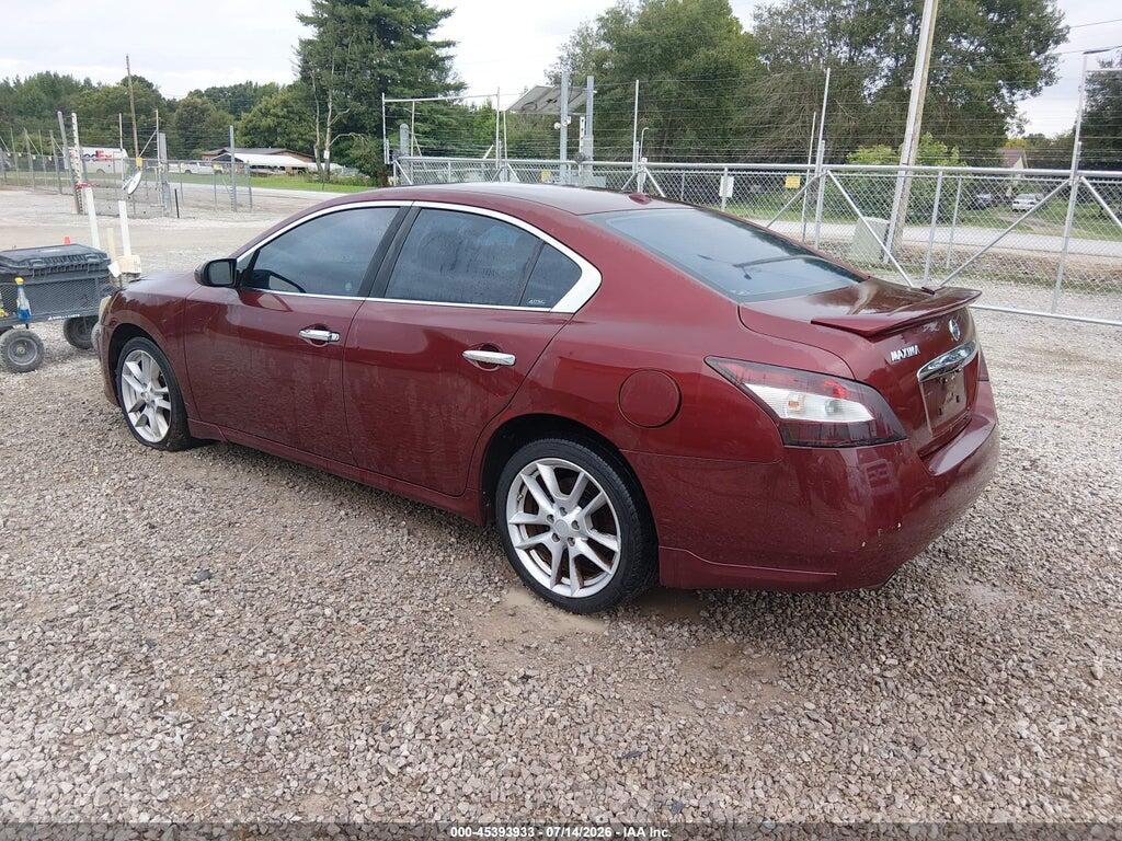 1N4AA5AP8AC863399 2010 NISSAN MAXIMA photo no. 3