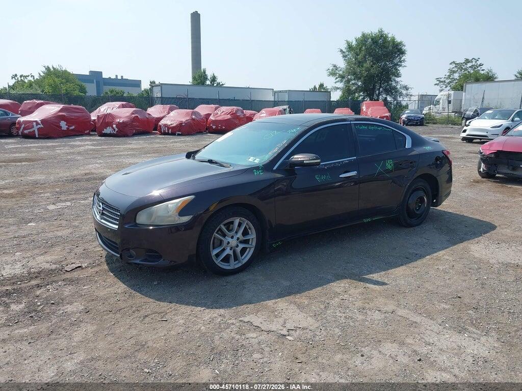 1N4AA5AP4AC828150 2010 NISSAN MAXIMA photo no. 2