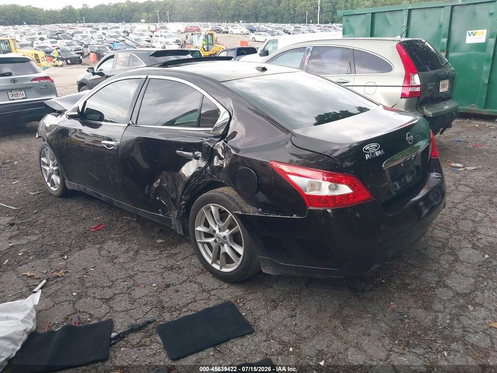 1N4AA5AP1AC840112 2010 NISSAN MAXIMA photo no. 3