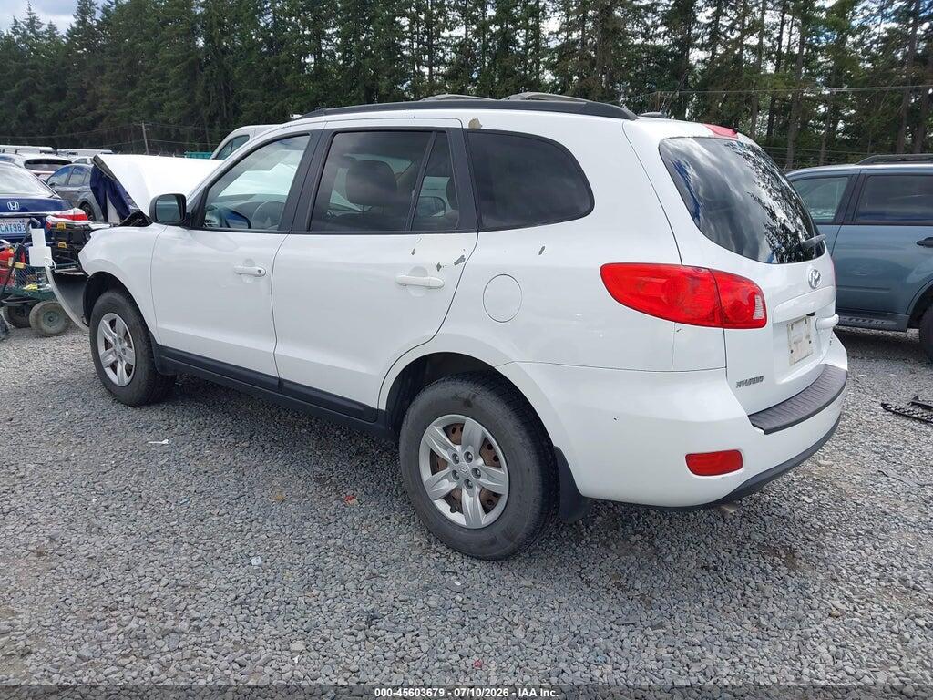 5NMSG73D49H279218 2009 HYUNDAI SANTA FE photo no. 3