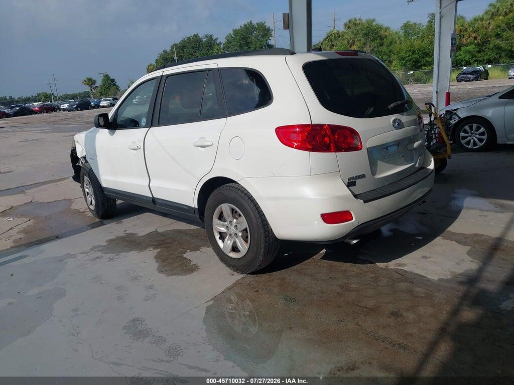 5NMSG13D39H248121 2009 HYUNDAI SANTA FE photo no. 3