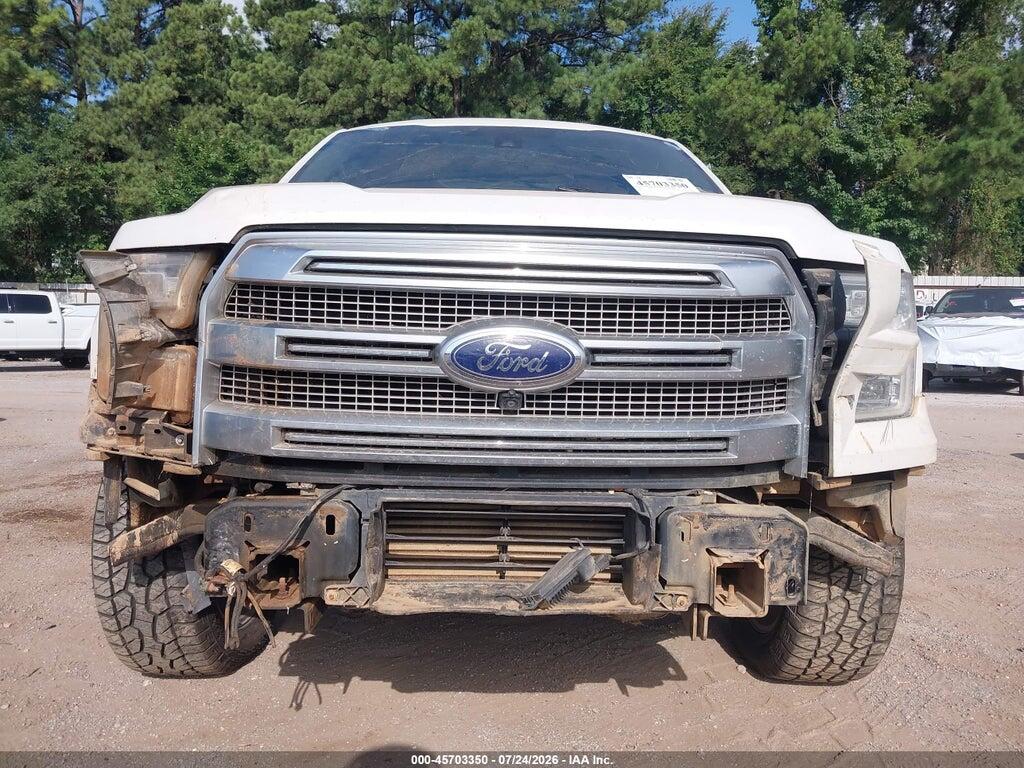 1FTEW1EG3FFA98754 2015 FORD F-150 photo no. 12