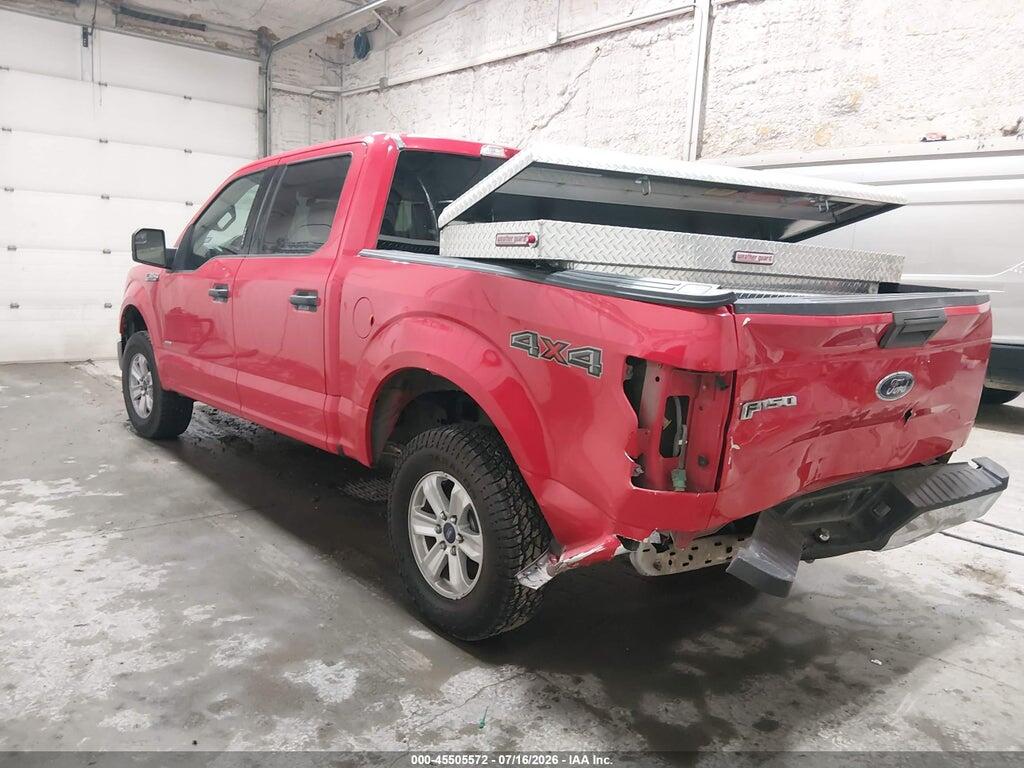 1FTEW1EG9FFB24743 2015 FORD F-150 photo no. 3