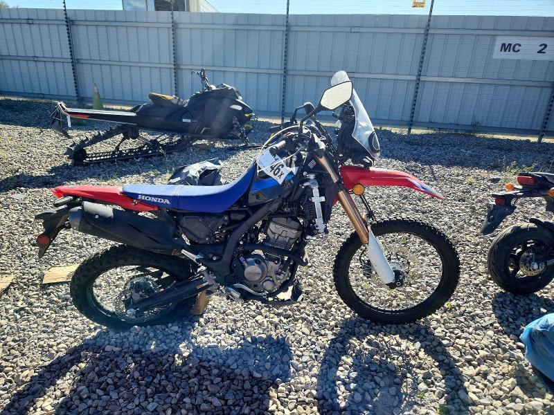 2025 HONDA CRF300 MLHND1640S5400041