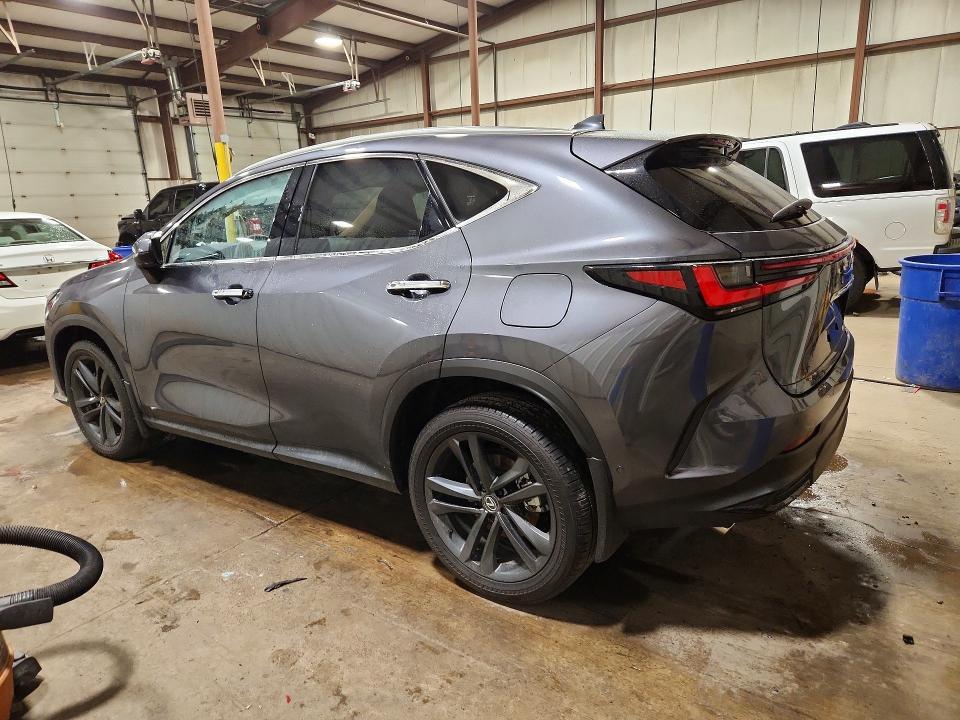 2025 LEXUS NX 450H+ BASE — Фото 2 из 13