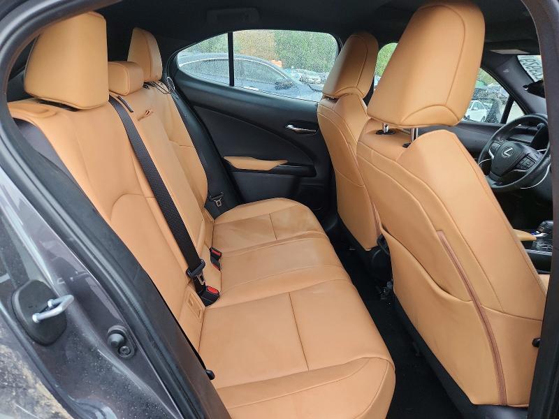 2025 LEXUS UX 300H PREMIUM — Фото 11 из 13
