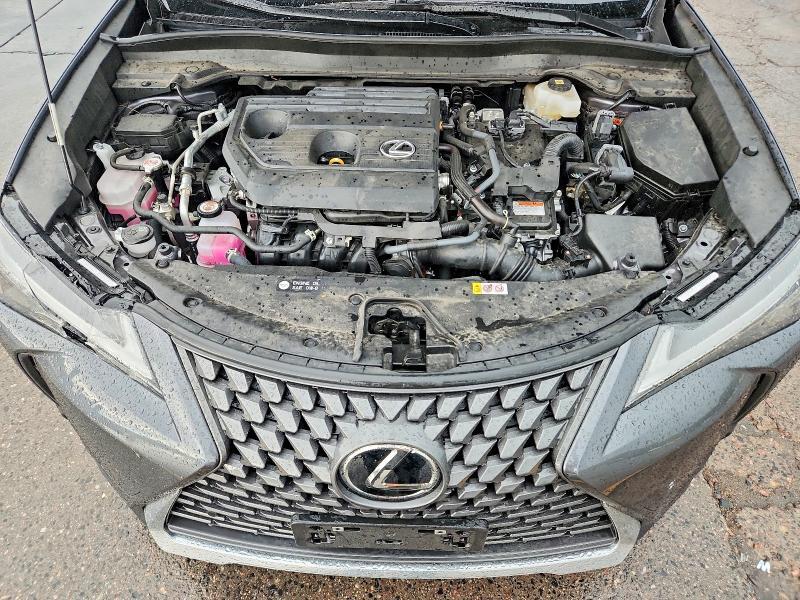 2025 LEXUS UX 300H PREMIUM — Фото 12 из 13