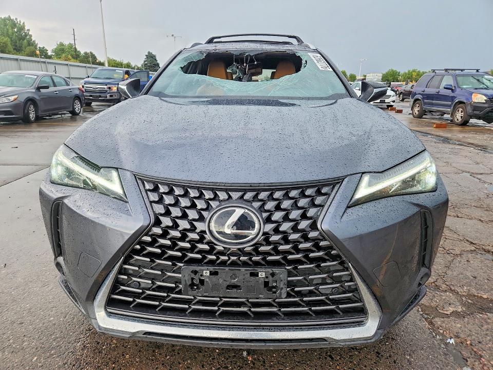 2025 LEXUS UX 300H PREMIUM — Фото 5 из 13