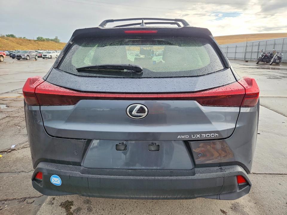 2025 LEXUS UX 300H PREMIUM — Фото 6 из 13