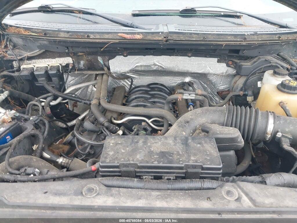 1FTFX1EF0DKD57049 2013 FORD F-150 photo no. 10