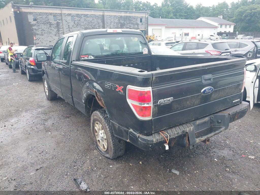 1FTFX1EF0DKD57049 2013 FORD F-150 photo no. 3