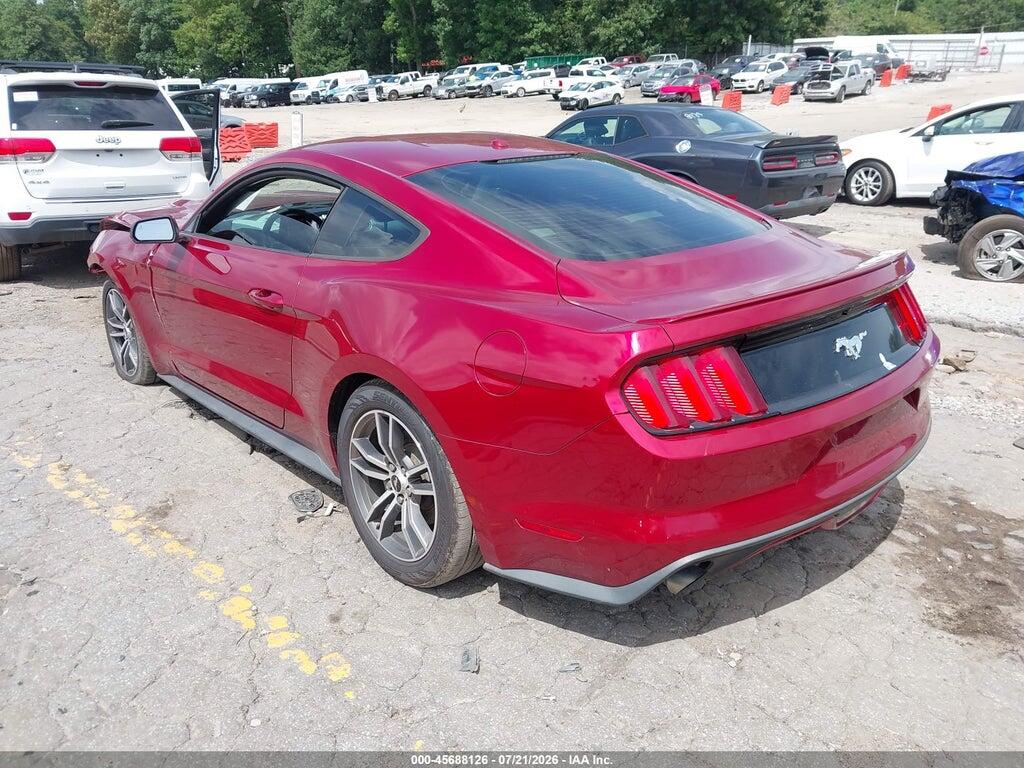 1FA6P8TH9F5316259 2015 FORD MUSTANG photo no. 3