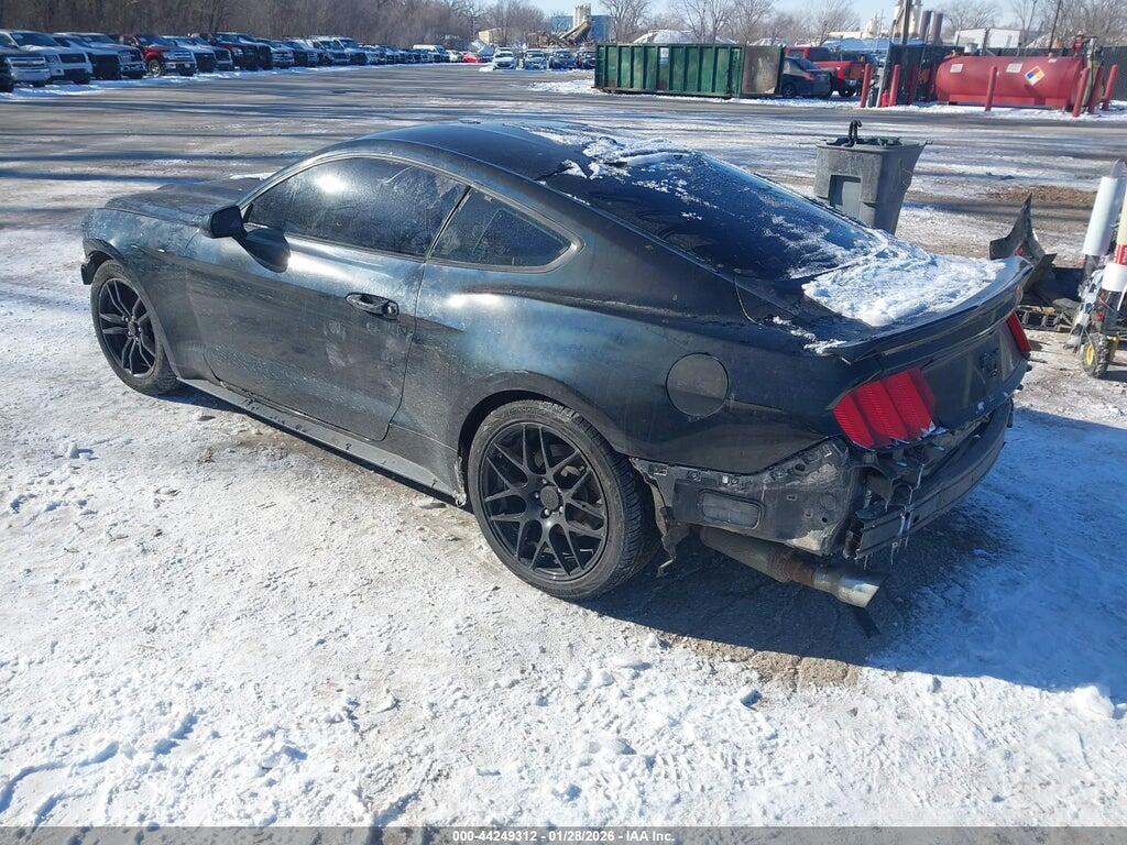 1FA6P8THXF5359427 2015 FORD MUSTANG photo no. 3