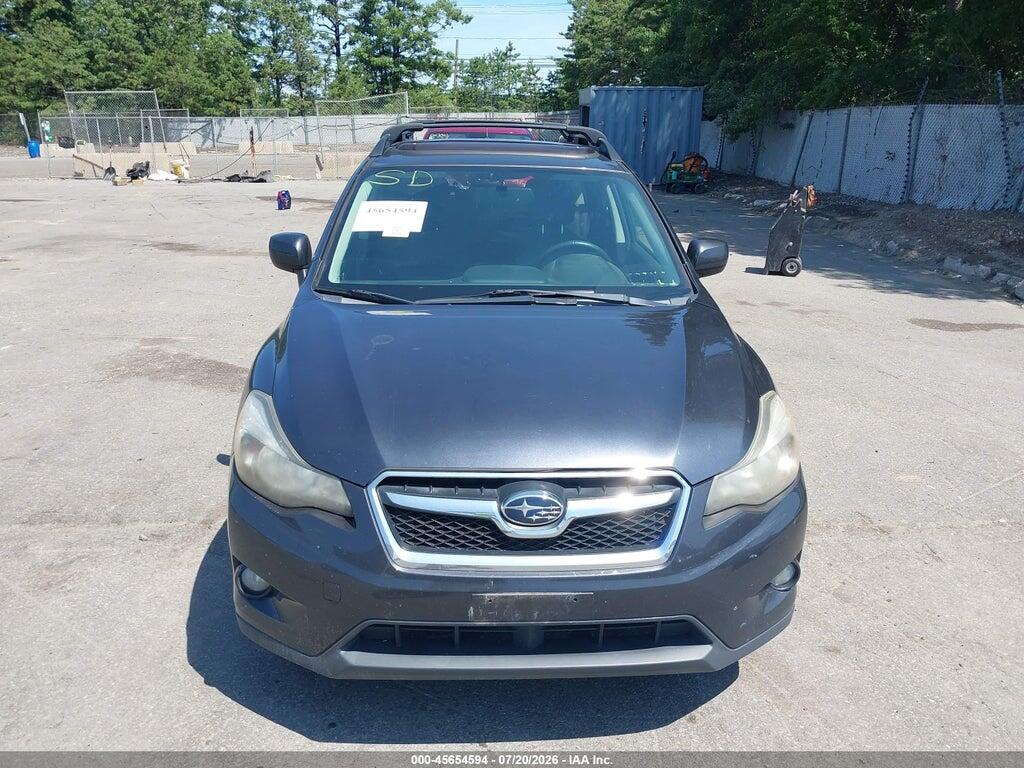 JF2GPAKC3D2841443 2013 SUBARU XV CROSSTREK photo no. 12