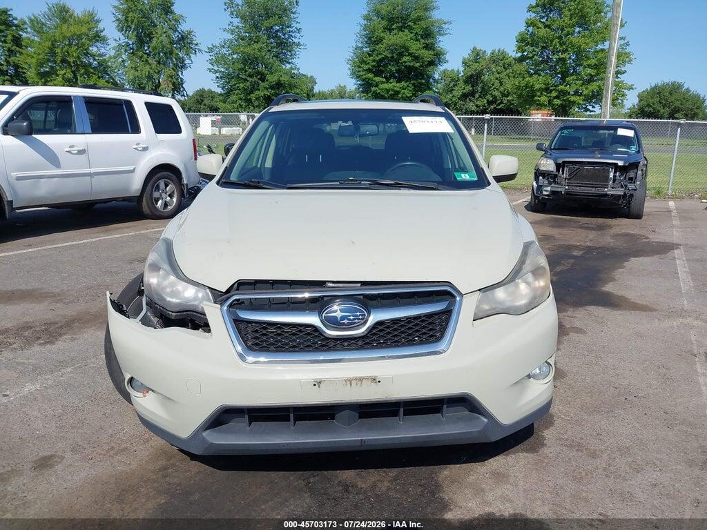 JF2GPAKC5D2837975 2013 SUBARU XV CROSSTREK photo no. 12