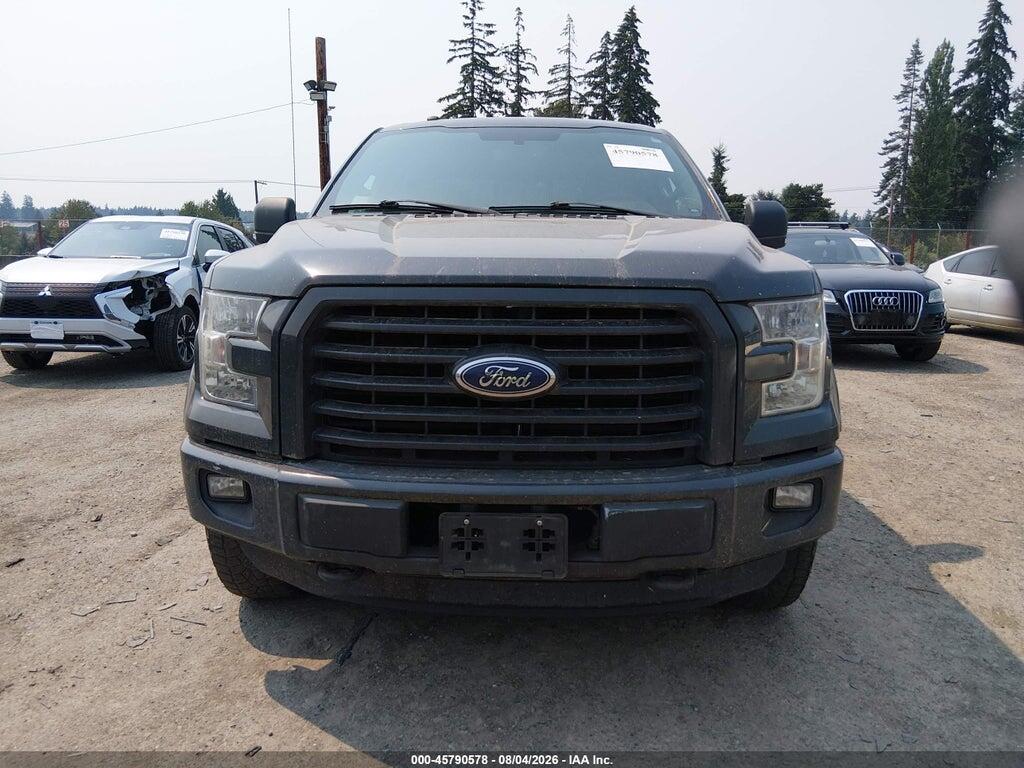 1FTEW1EF4GKF59265 2016 FORD F-150 photo no. 12