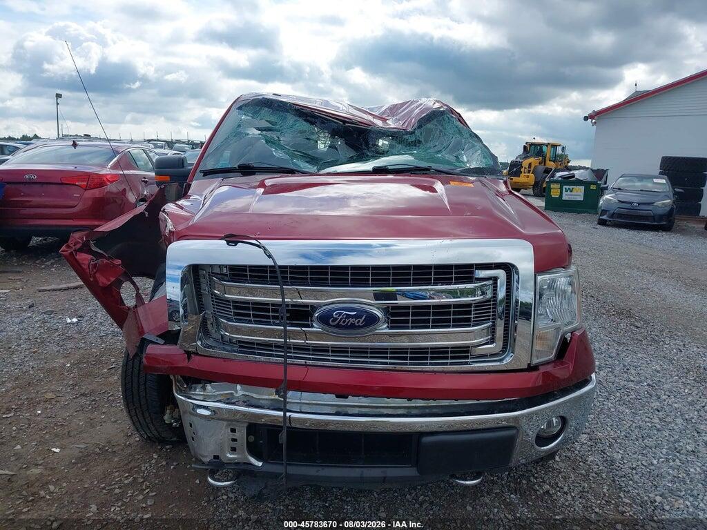 1FTFW1EF5EFB54834 2014 FORD F-150 photo no. 12