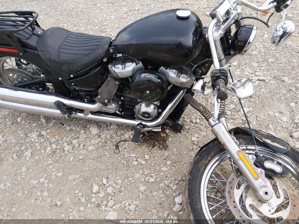 1HD1BVJ13MB013112 2021 HARLEY-DAVIDSON FXST photo no. 8