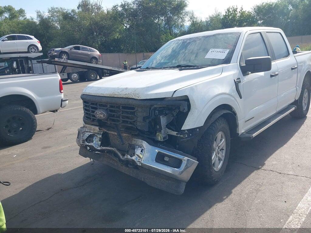 1FTFW1FD6RFB59656 2024 FORD F-150 photo no. 12