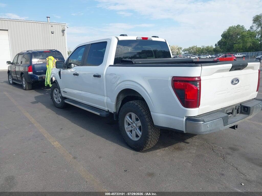 1FTFW1FD6RFB59656 2024 FORD F-150 photo no. 3