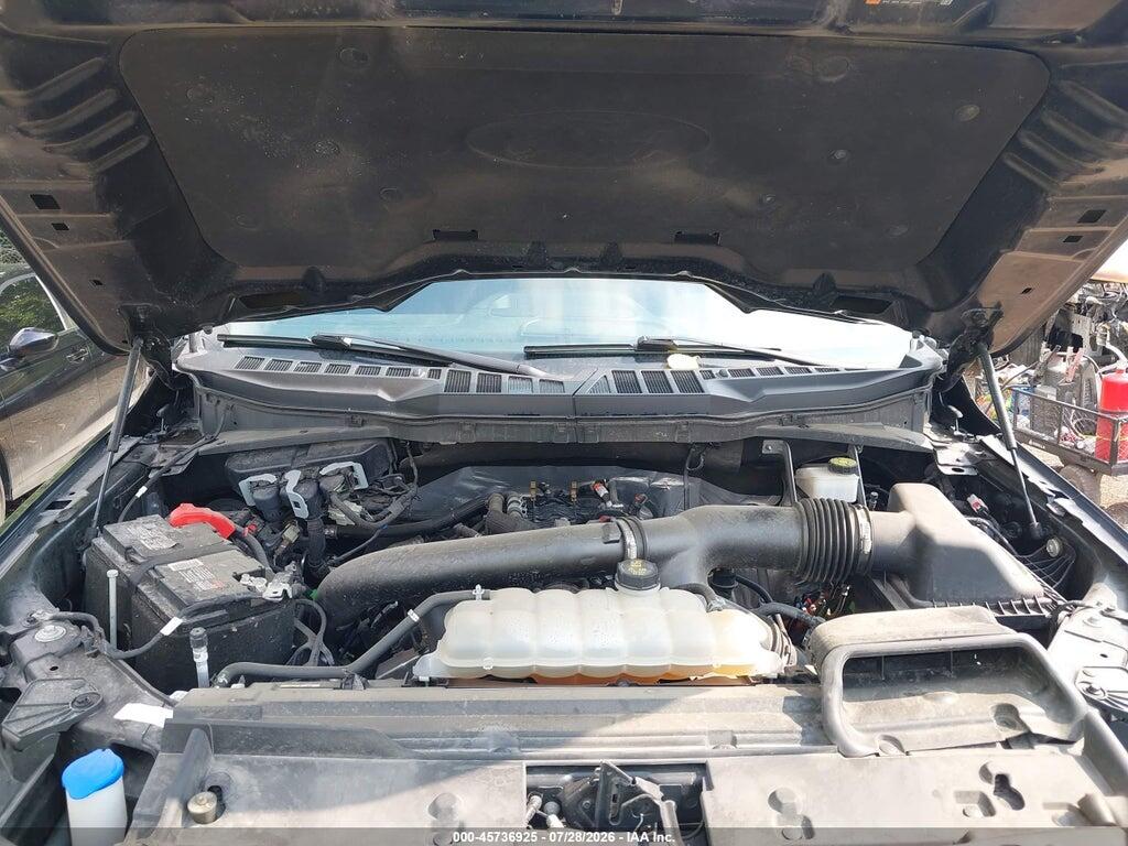 1FTFW3L89RKD19085 2024 FORD F-150 photo no. 10