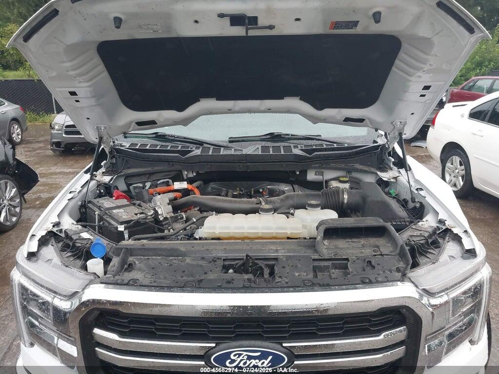 1FTFW5LD4RFC17176 2024 FORD F-150 photo no. 10