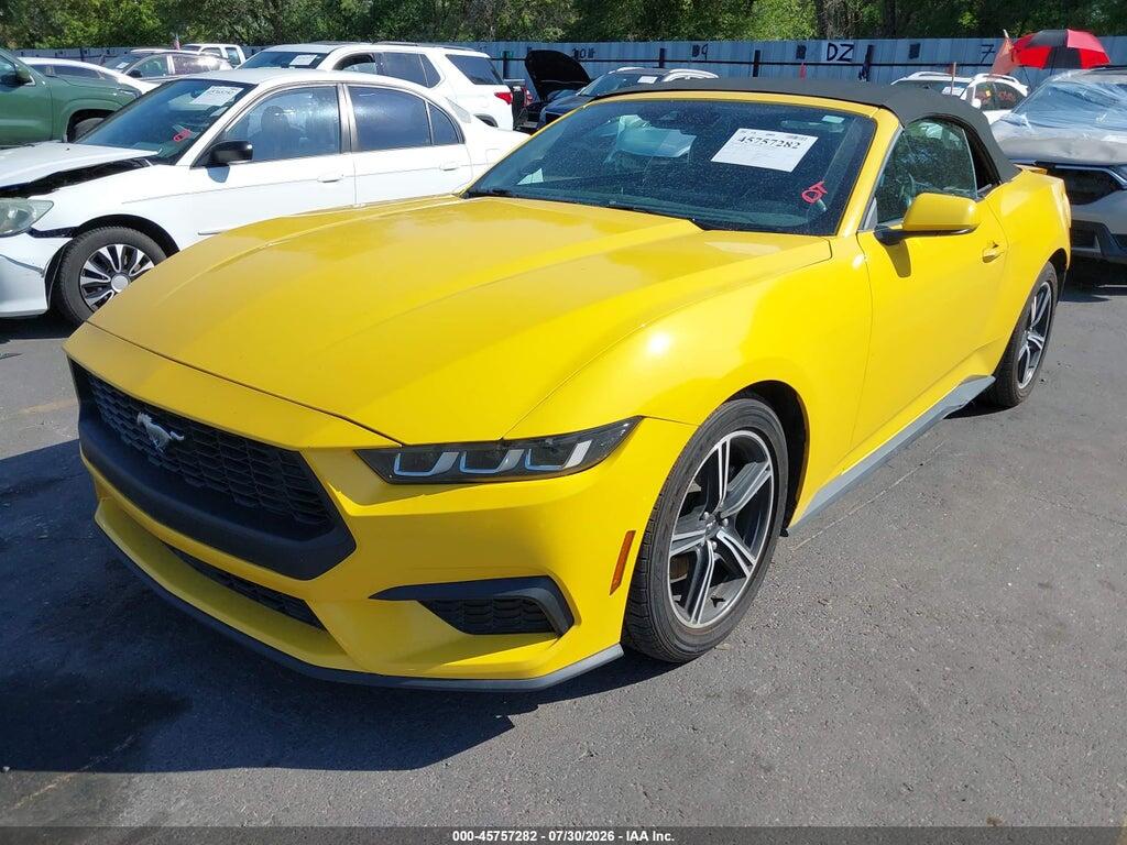 1FAGP8UH1R5127077 2024 FORD MUSTANG photo no. 2