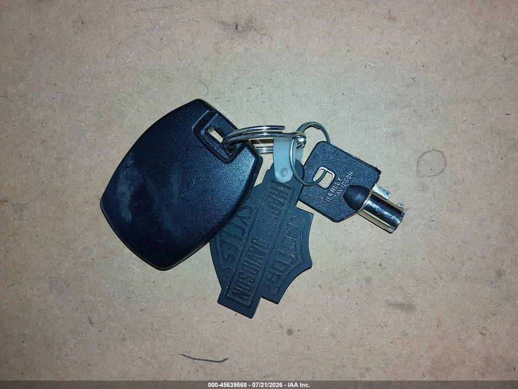 1HD1KH715RB619348 2024 HARLEY-DAVIDSON FLTRX photo no. 11