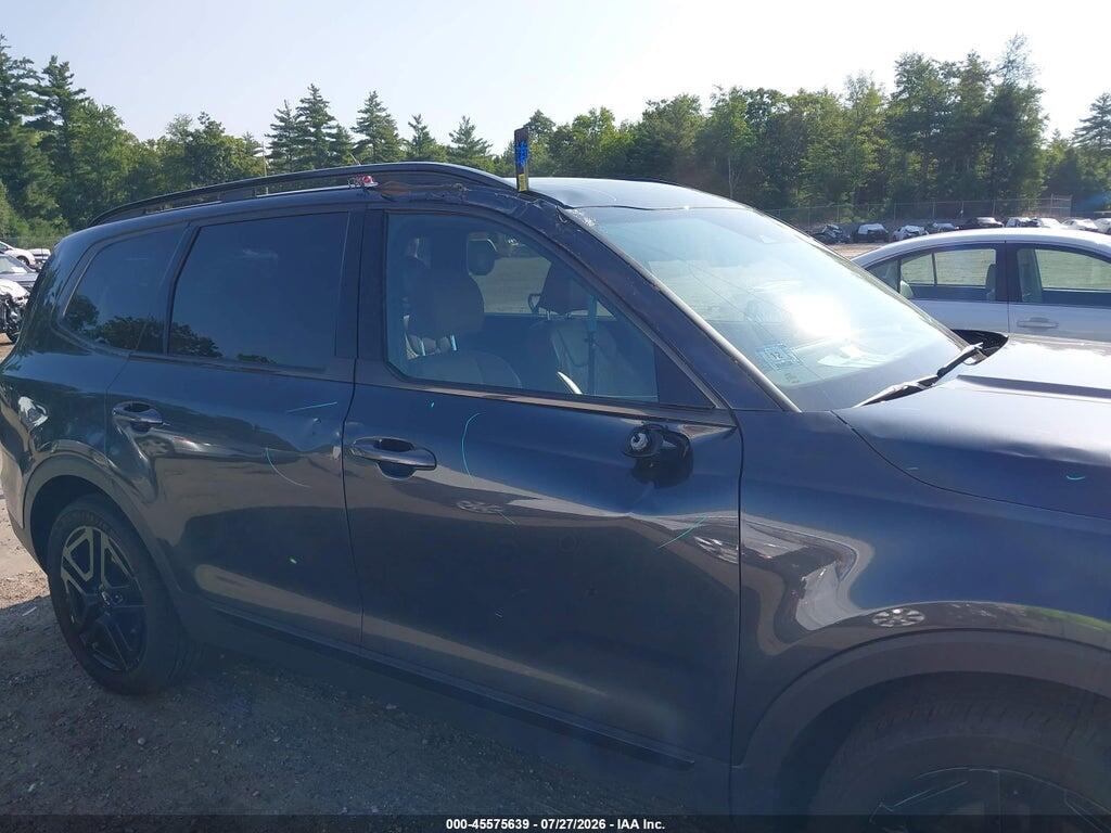 5XYP5DGC9RG548481 2024 KIA TELLURIDE photo no. 6