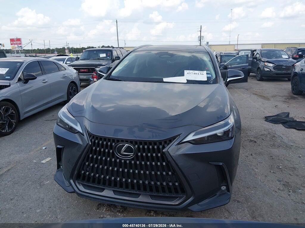 2T2GDCAZ0RC006283 2024 LEXUS NX 250 photo no. 12