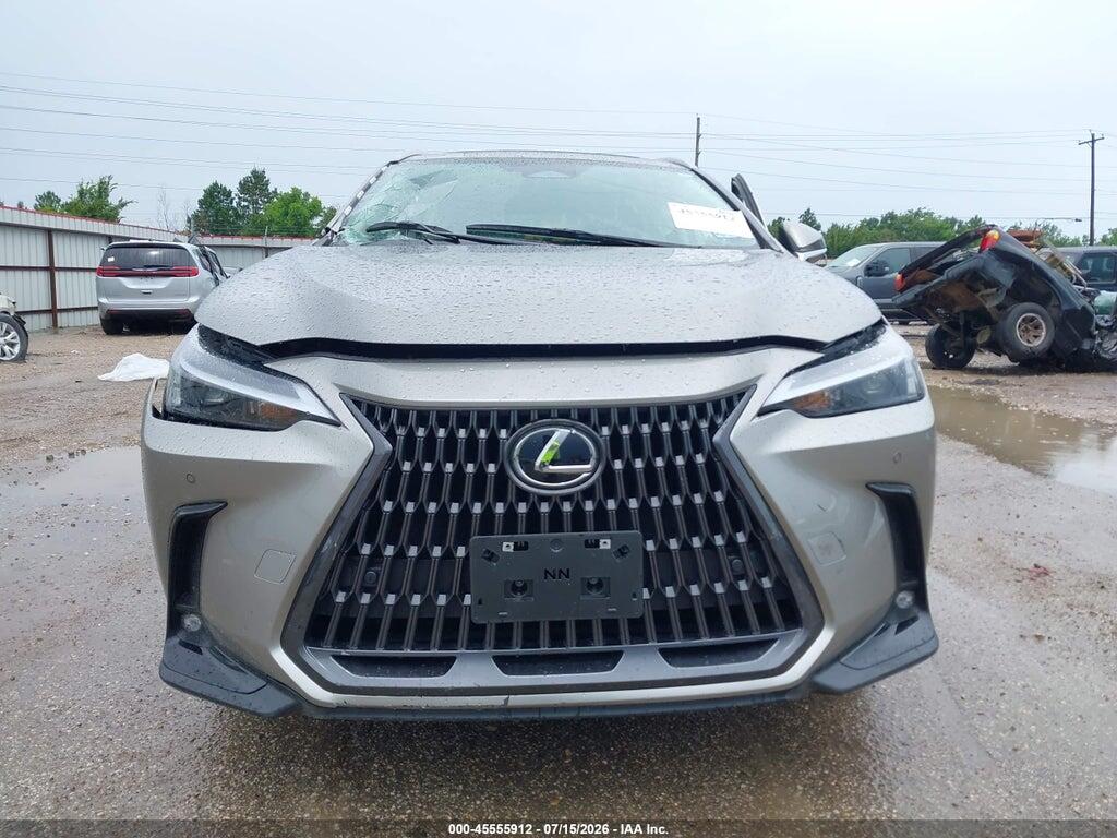2T2GDCAZ2SC018120 2025 LEXUS NX 250 photo no. 12