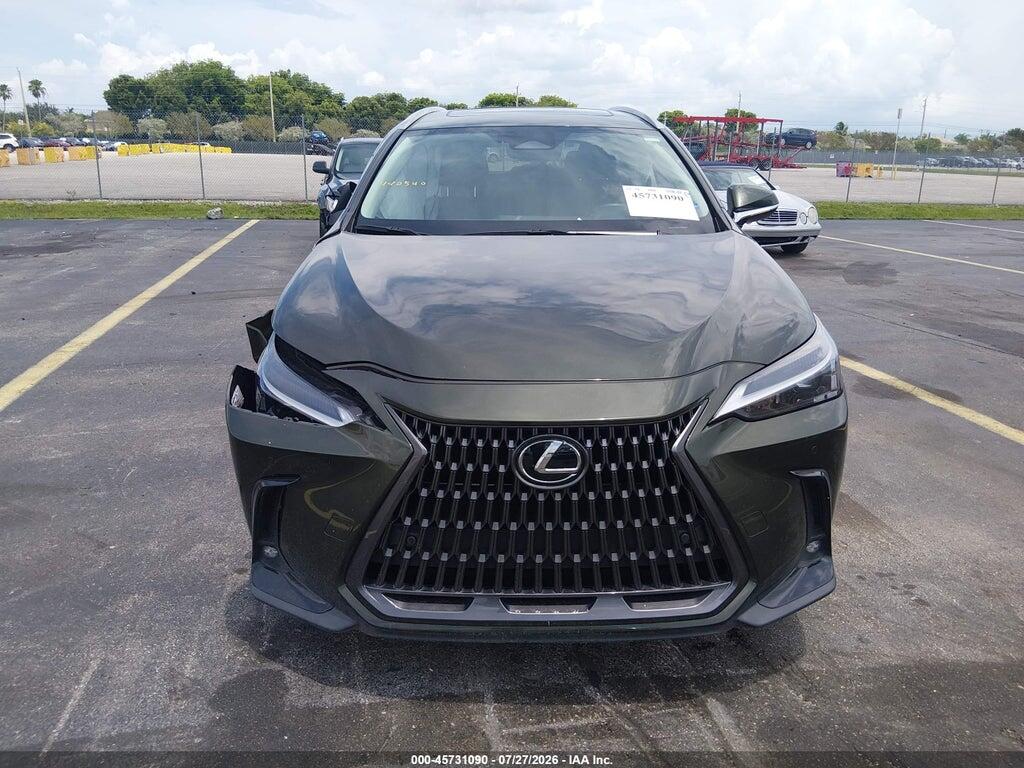 2T2ADCAZ4SC019677 2025 LEXUS NX 250 photo no. 11