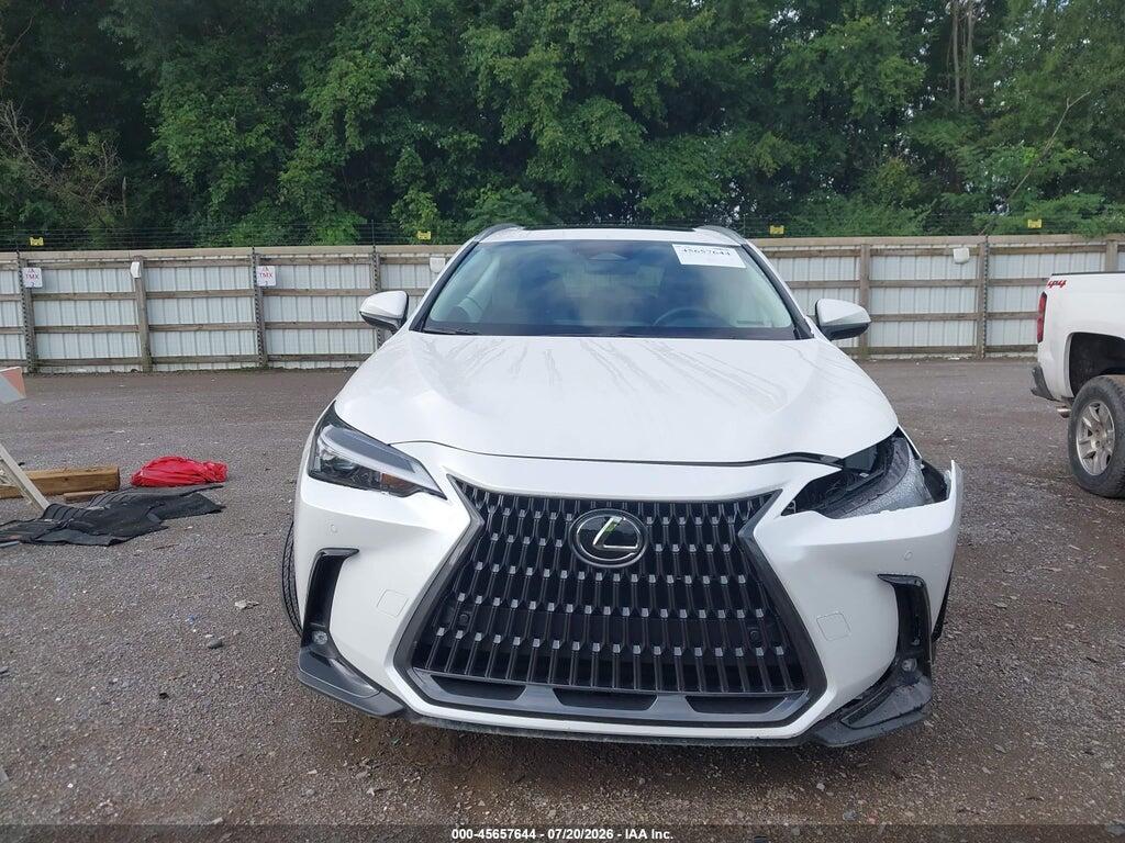 2T2GGCEZ2SC092431 2025 LEXUS NX 350 photo no. 12