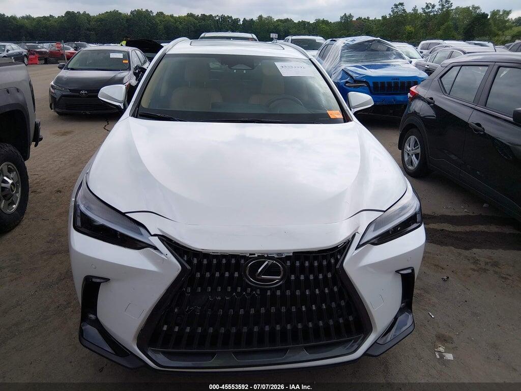 2T2GGCEZ1SC088807 2025 LEXUS NX 350 photo no. 12