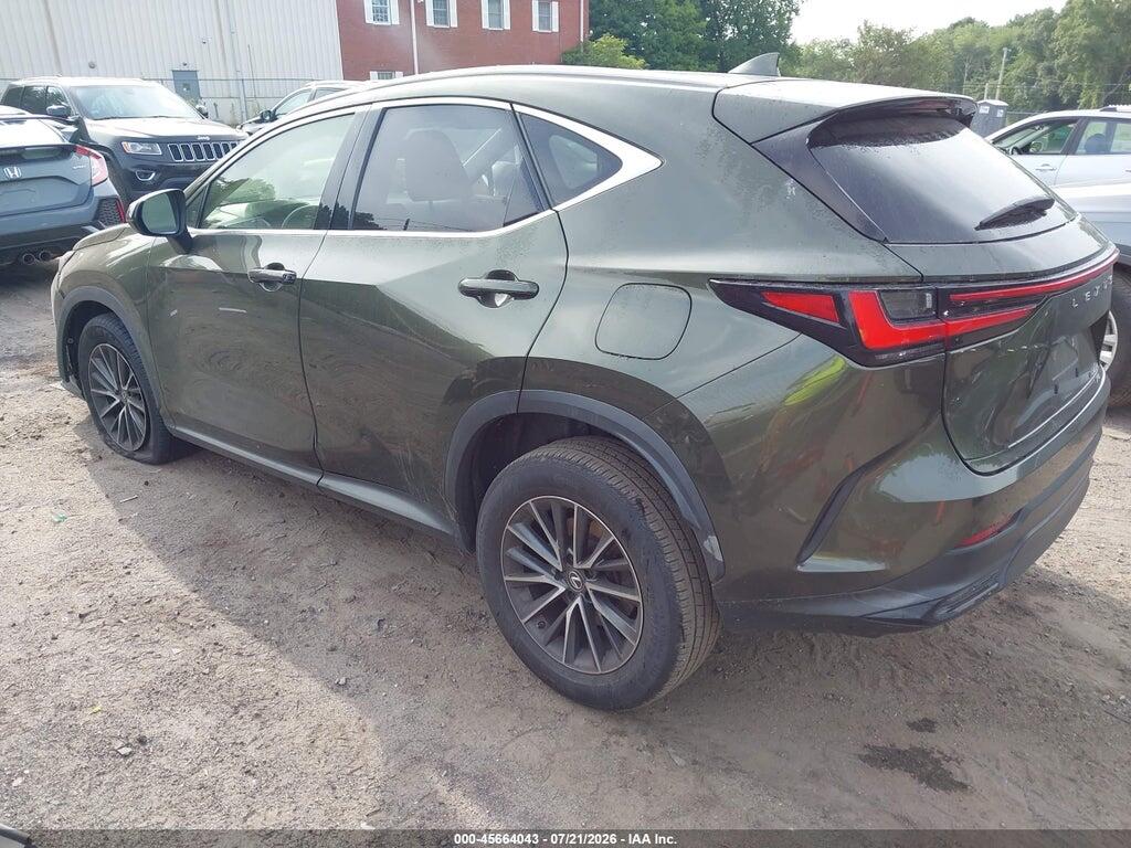 JTJADCEZ6N2000532 2022 LEXUS NX 250 photo no. 3