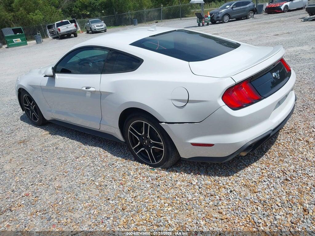 1FA6P8TH4P5110400 2023 FORD MUSTANG photo no. 3