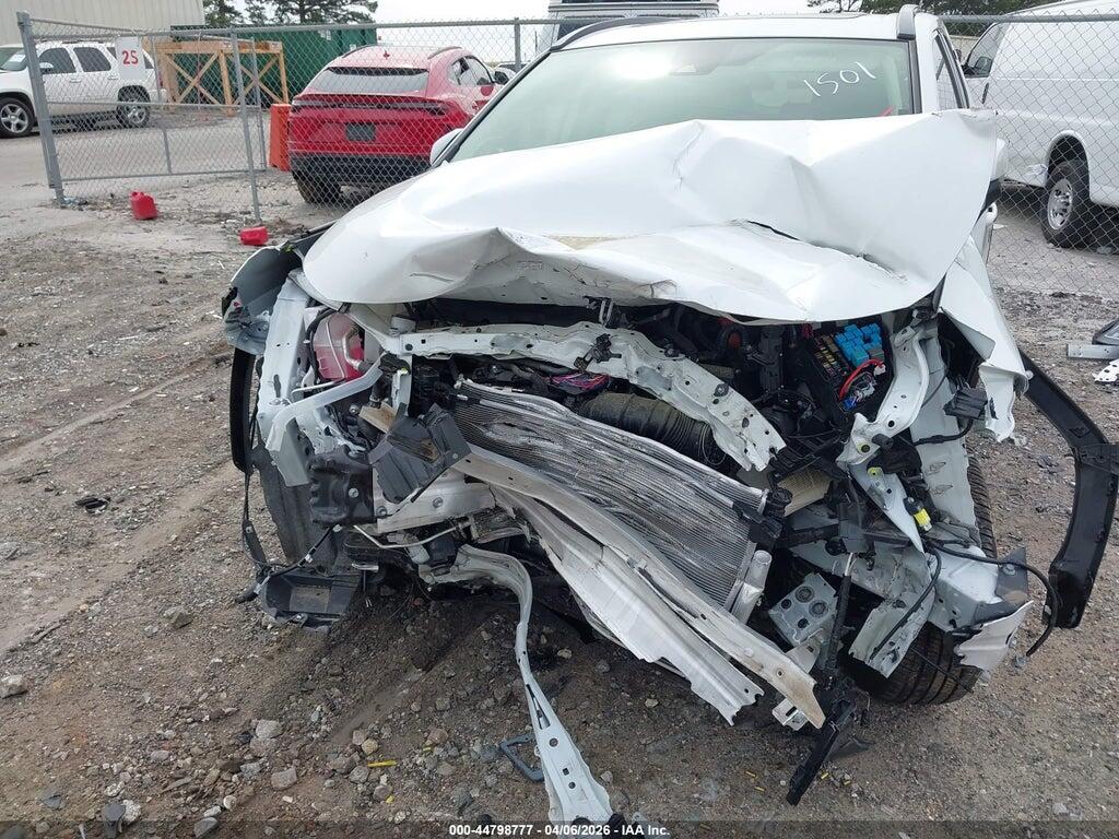 JTMD6RFV5RD141501 2024 TOYOTA RAV4 HYBRID photo no. 11