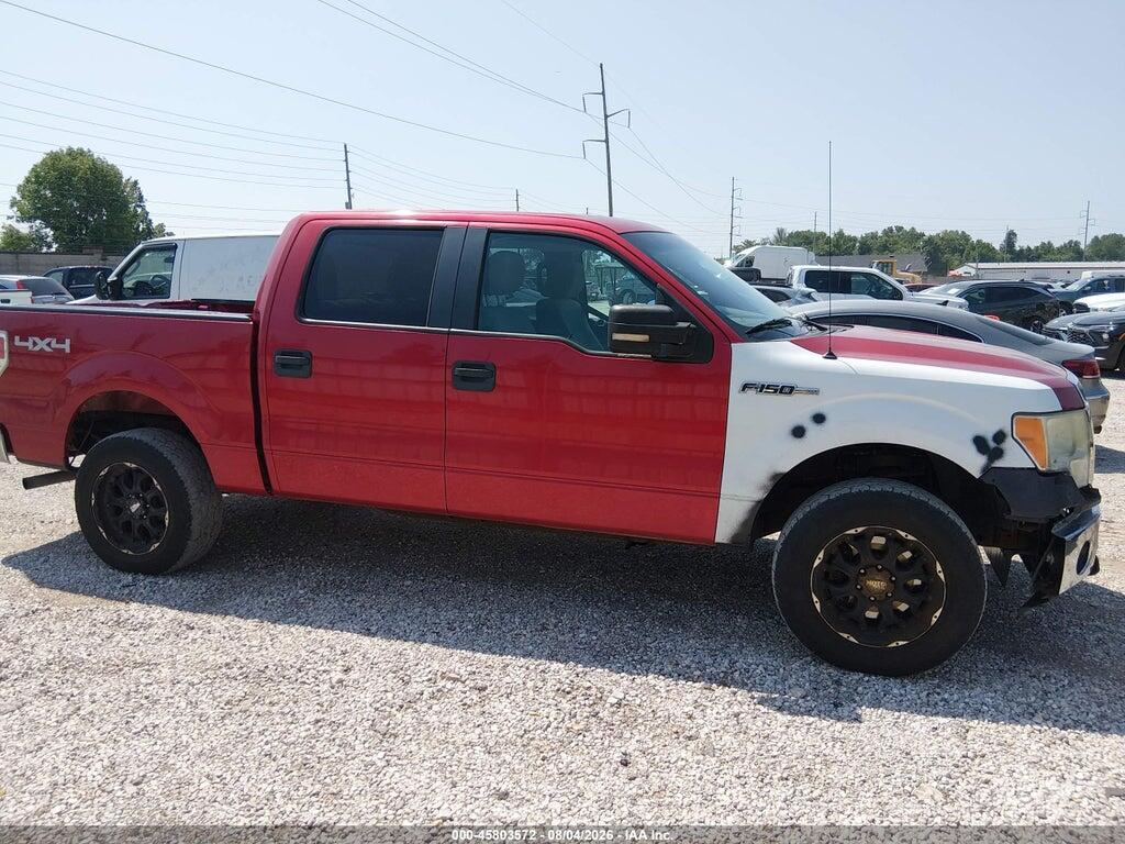 1FTEW1E83AFB93669 2010 FORD F-150 photo no. 12