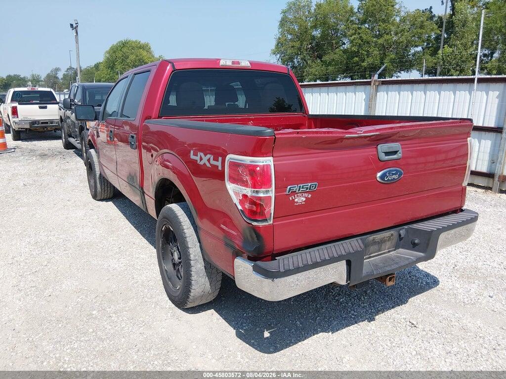 1FTEW1E83AFB93669 2010 FORD F-150 photo no. 3