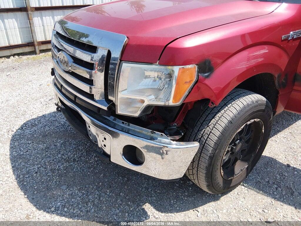 1FTEW1E83AFB93669 2010 FORD F-150 photo no. 6
