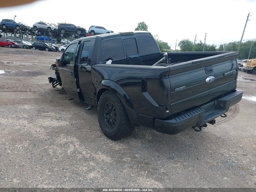 1FTEX1E62AFB96736 2010 FORD F-150 photo no. 3