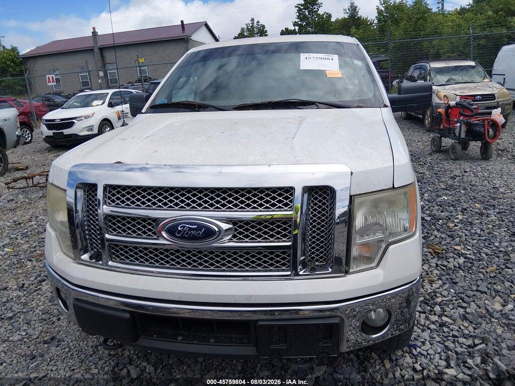 1FTEX1EW8AFB04822 2010 FORD F-150 photo no. 12