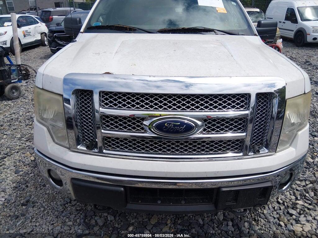 1FTEX1EW8AFB04822 2010 FORD F-150 photo no. 6
