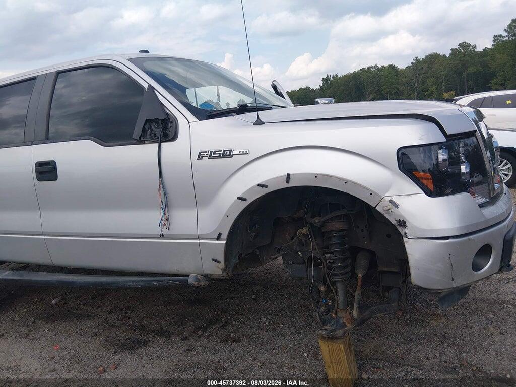 1FTFW1EV0AFB23444 2010 FORD F-150 photo no. 6