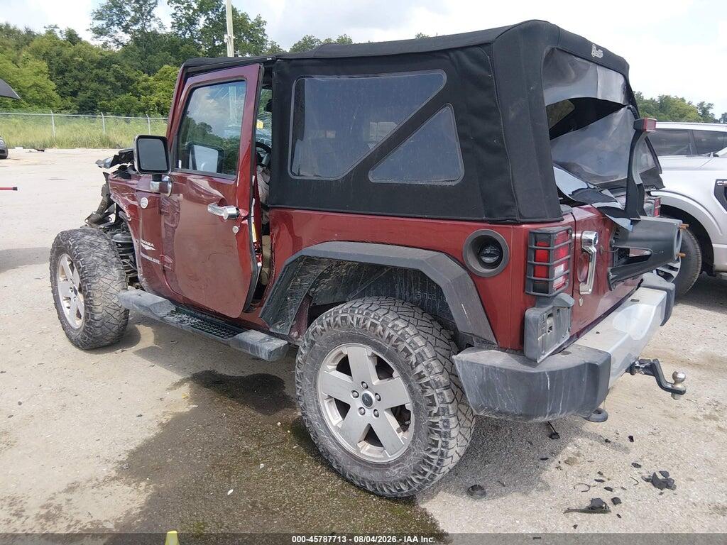 1J4AA5D19AL126062 2010 JEEP WRANGLER photo no. 3