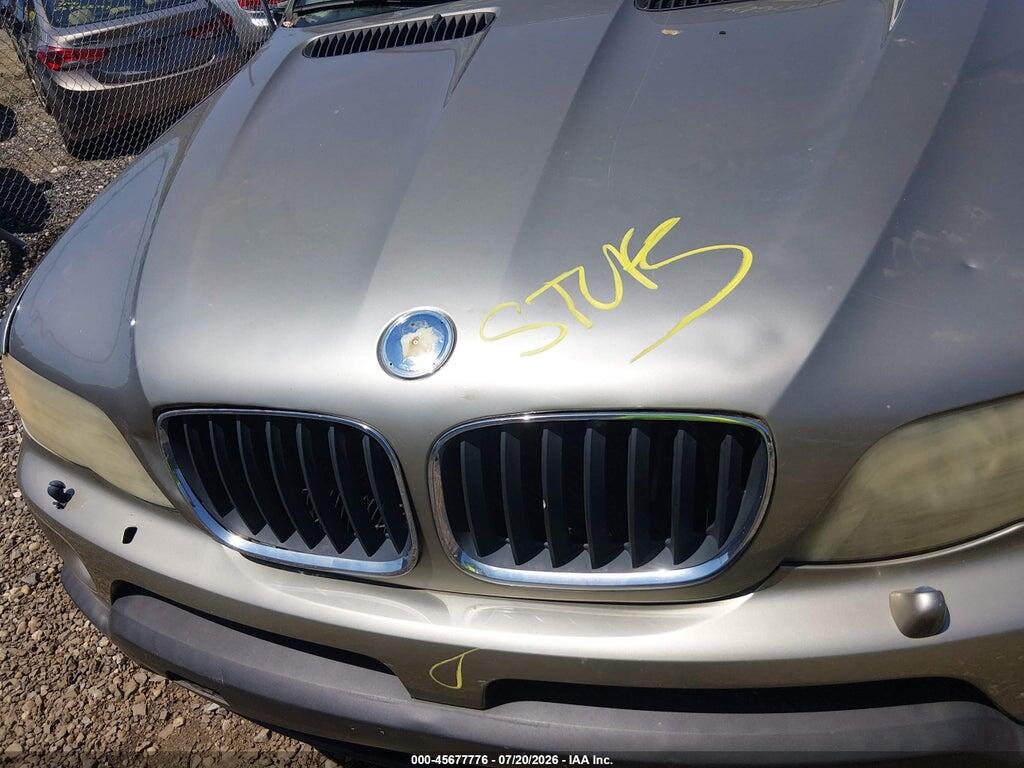5UXFA13585LY05902 2005 BMW X5 photo no. 10