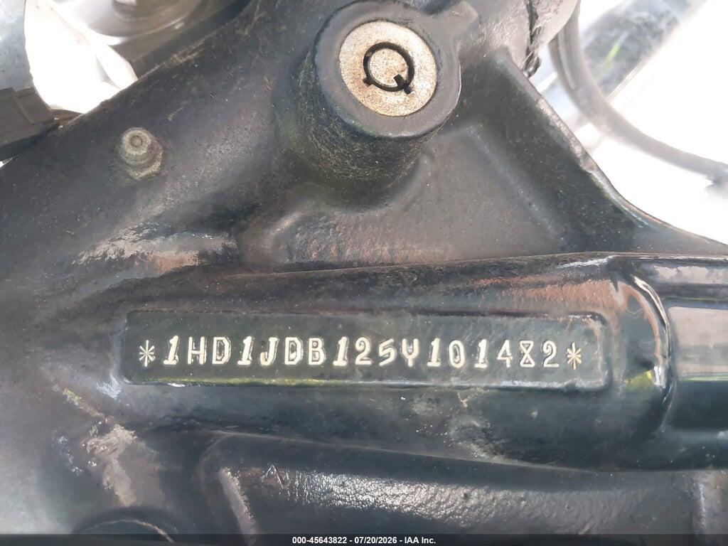 1HD1JDB125Y101482 2005 HARLEY-DAVIDSON FLSTNI photo no. 10