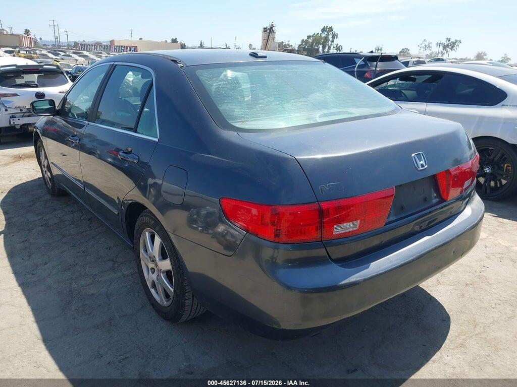 1HGCM66565A016486 2005 HONDA ACCORD photo no. 3